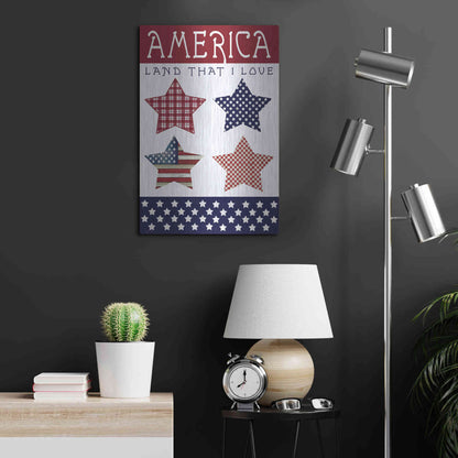 Luxe Metal Art 'Stars of America' by Cindy Jacobs, Metal Wall Art,16x24