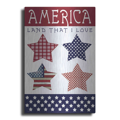 Luxe Metal Art 'Stars of America' by Cindy Jacobs, Metal Wall Art