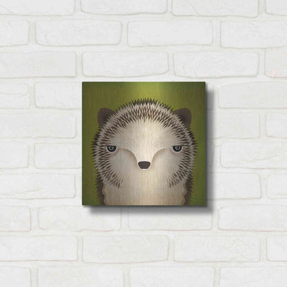 Luxe Metal Art 'Baby Hedgehog' by Ryan Fowler, Metal Wall Art,12x12