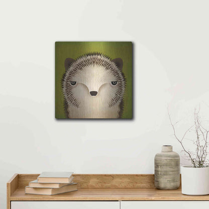 Luxe Metal Art 'Baby Hedgehog' by Ryan Fowler, Metal Wall Art,12x12