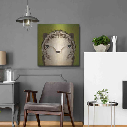 Luxe Metal Art 'Baby Hedgehog' by Ryan Fowler, Metal Wall Art,24x24