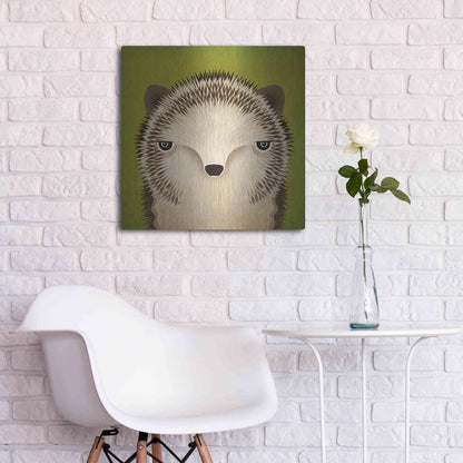 Luxe Metal Art 'Baby Hedgehog' by Ryan Fowler, Metal Wall Art,24x24