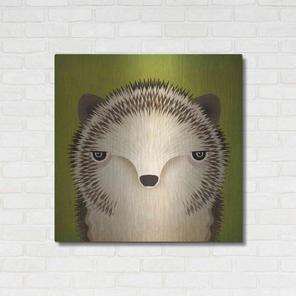 Luxe Metal Art 'Baby Hedgehog' by Ryan Fowler, Metal Wall Art,36x36