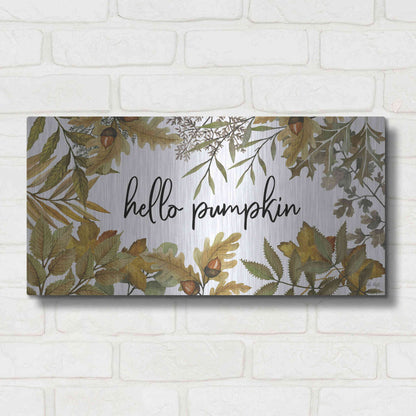 Luxe Metal Art 'Hello Pumpkin' by Cindy Jacobs, Metal Wall Art,24x12