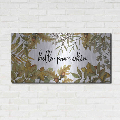 Luxe Metal Art 'Hello Pumpkin' by Cindy Jacobs, Metal Wall Art,48x24