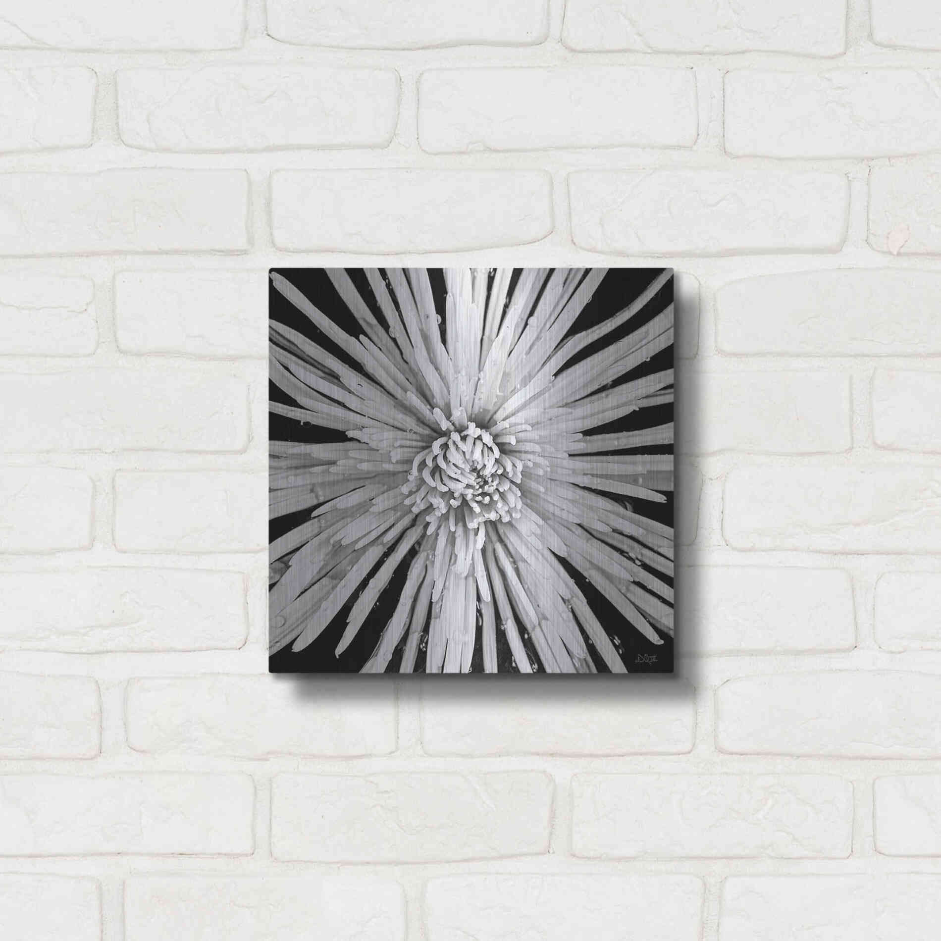 Luxe Metal Art 'Black and White Love' by Donnie Quillen, Metal Wall Art,12x12
