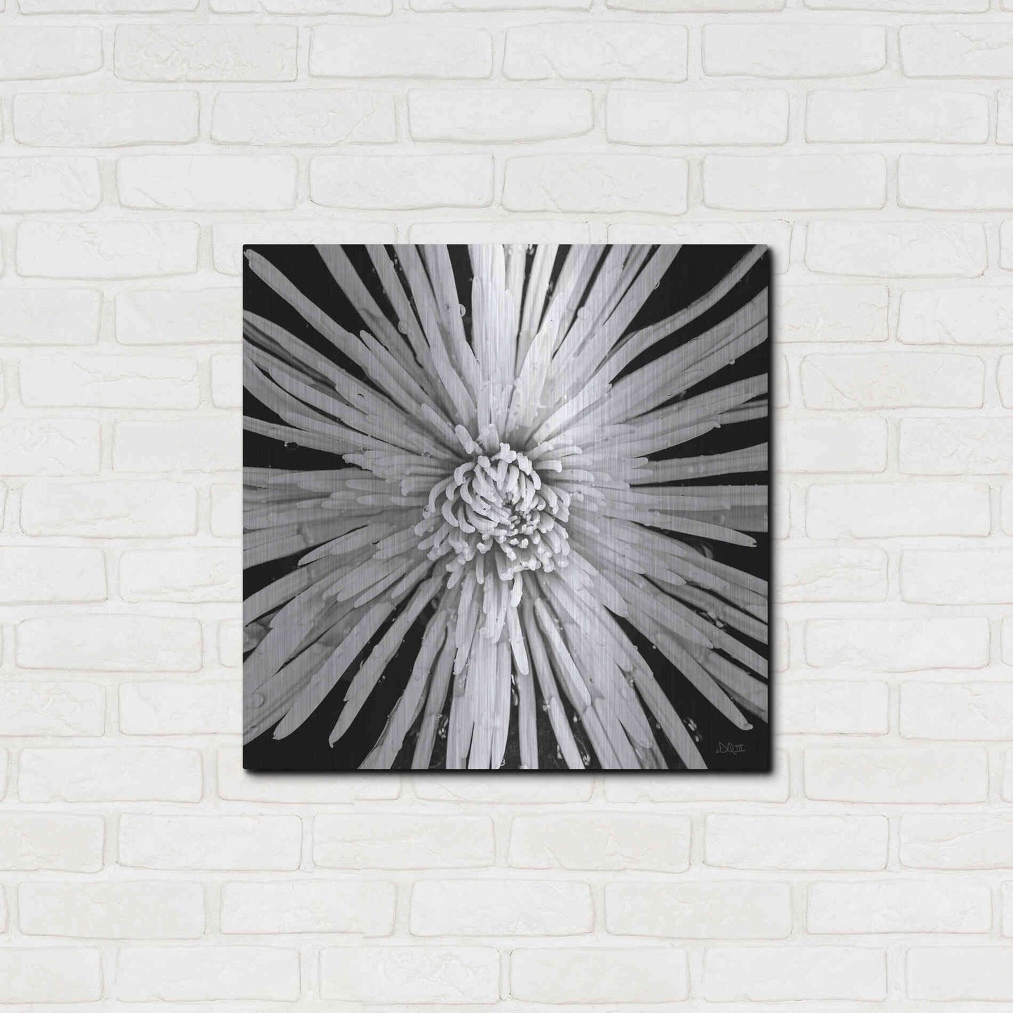 Luxe Metal Art 'Black and White Love' by Donnie Quillen, Metal Wall Art,24x24