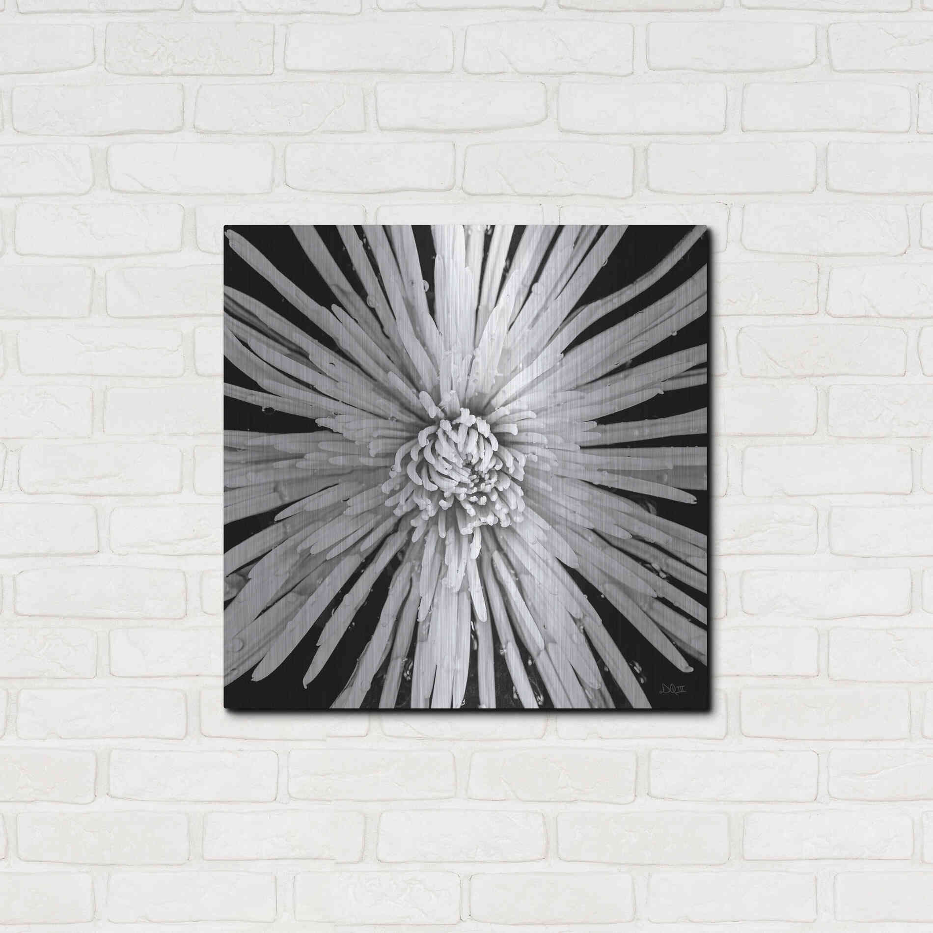 Luxe Metal Art 'Black and White Love' by Donnie Quillen, Metal Wall Art,24x24
