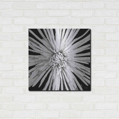Luxe Metal Art 'Black and White Love' by Donnie Quillen, Metal Wall Art,24x24