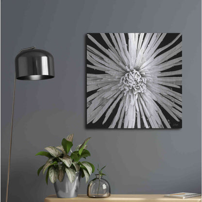 Luxe Metal Art 'Black and White Love' by Donnie Quillen, Metal Wall Art,24x24