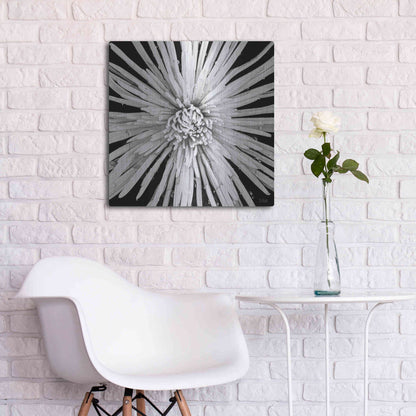 Luxe Metal Art 'Black and White Love' by Donnie Quillen, Metal Wall Art,24x24