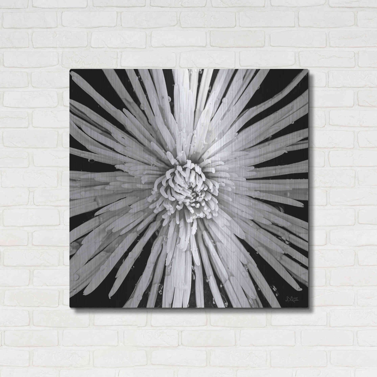 Luxe Metal Art 'Black and White Love' by Donnie Quillen, Metal Wall Art,36x36