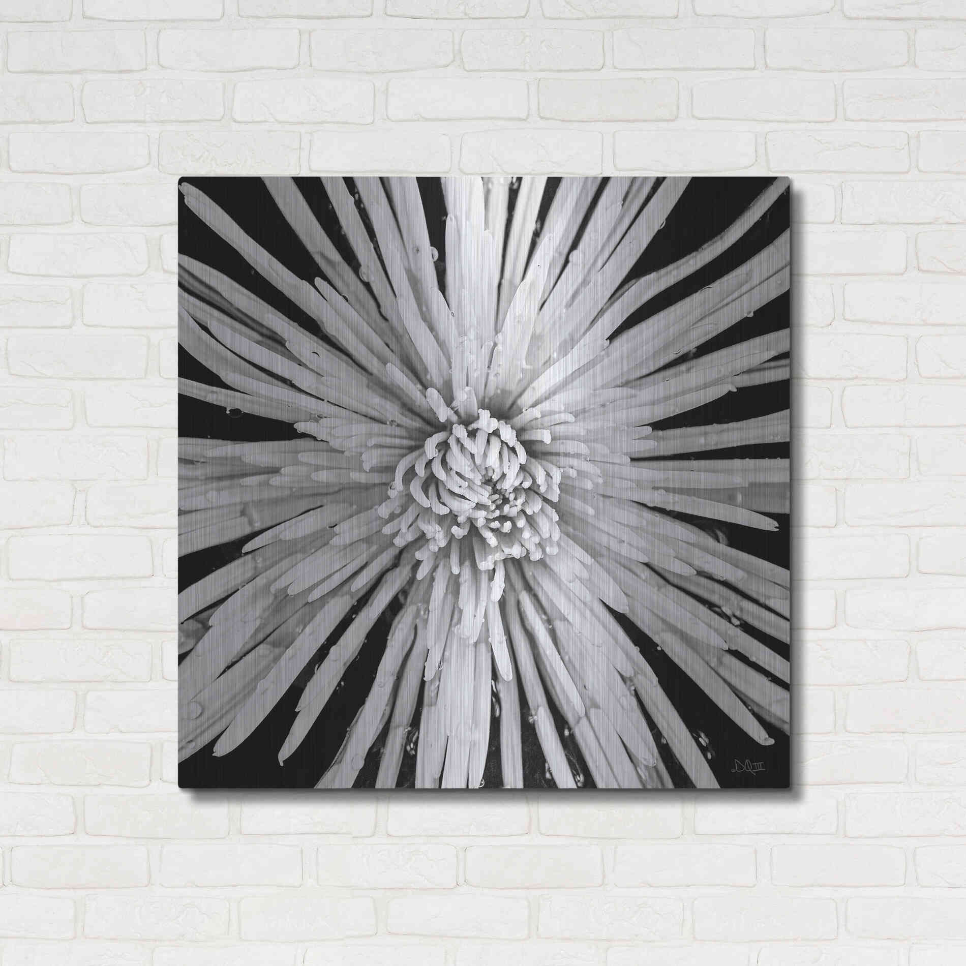 Luxe Metal Art 'Black and White Love' by Donnie Quillen, Metal Wall Art,36x36
