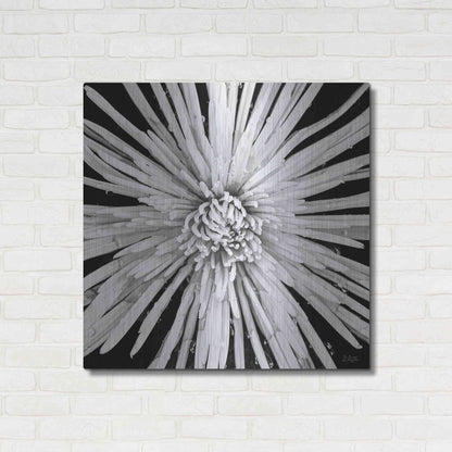 Luxe Metal Art 'Black and White Love' by Donnie Quillen, Metal Wall Art,36x36