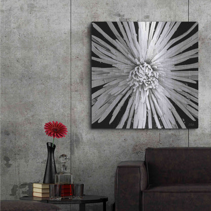 Luxe Metal Art 'Black and White Love' by Donnie Quillen, Metal Wall Art,36x36