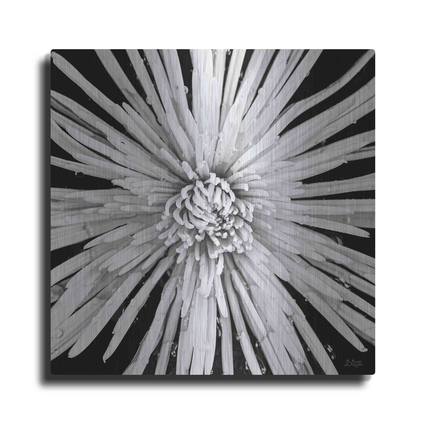 Luxe Metal Art 'Black and White Love' by Donnie Quillen, Metal Wall Art