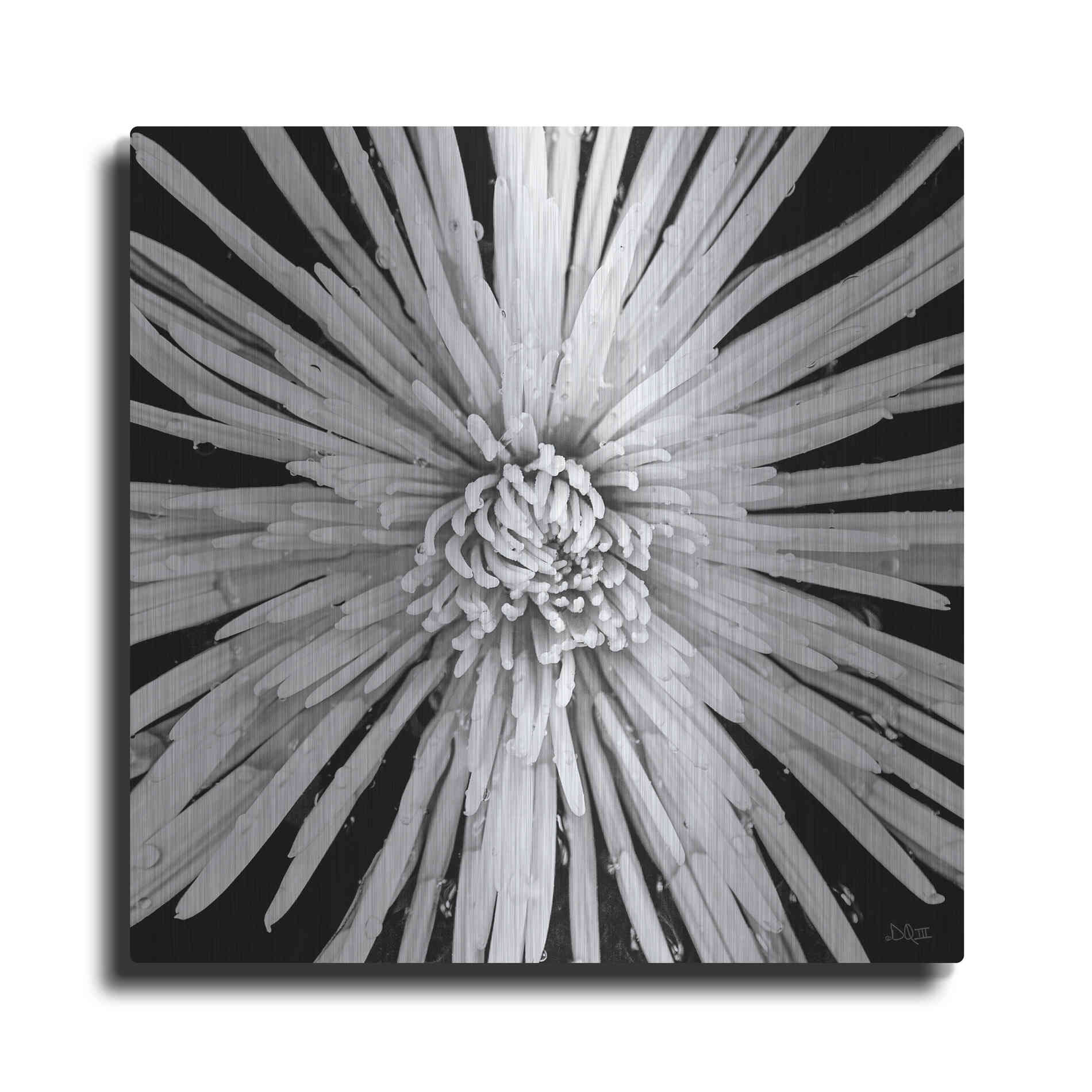 Luxe Metal Art 'Black and White Love' by Donnie Quillen, Metal Wall Art