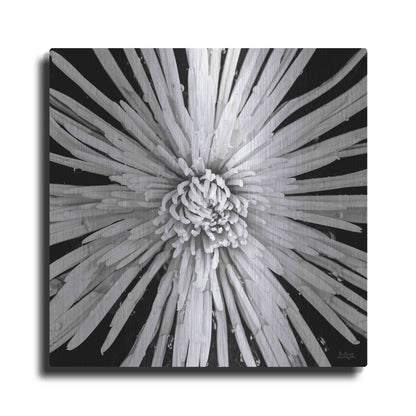 Luxe Metal Art 'Black and White Love' by Donnie Quillen, Metal Wall Art