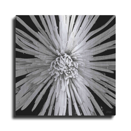 Luxe Metal Art 'Black and White Love' by Donnie Quillen, Metal Wall Art