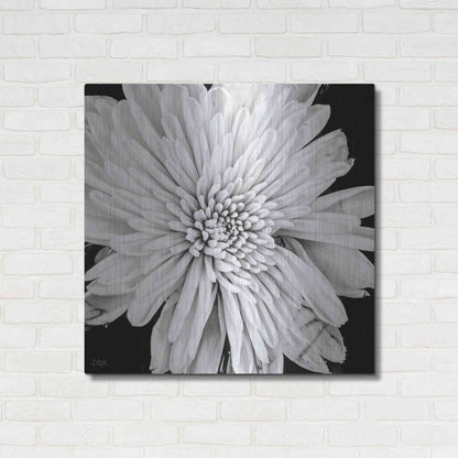 Luxe Metal Art 'Black and White Love II' by Donnie Quillen, Metal Wall Art,36x36