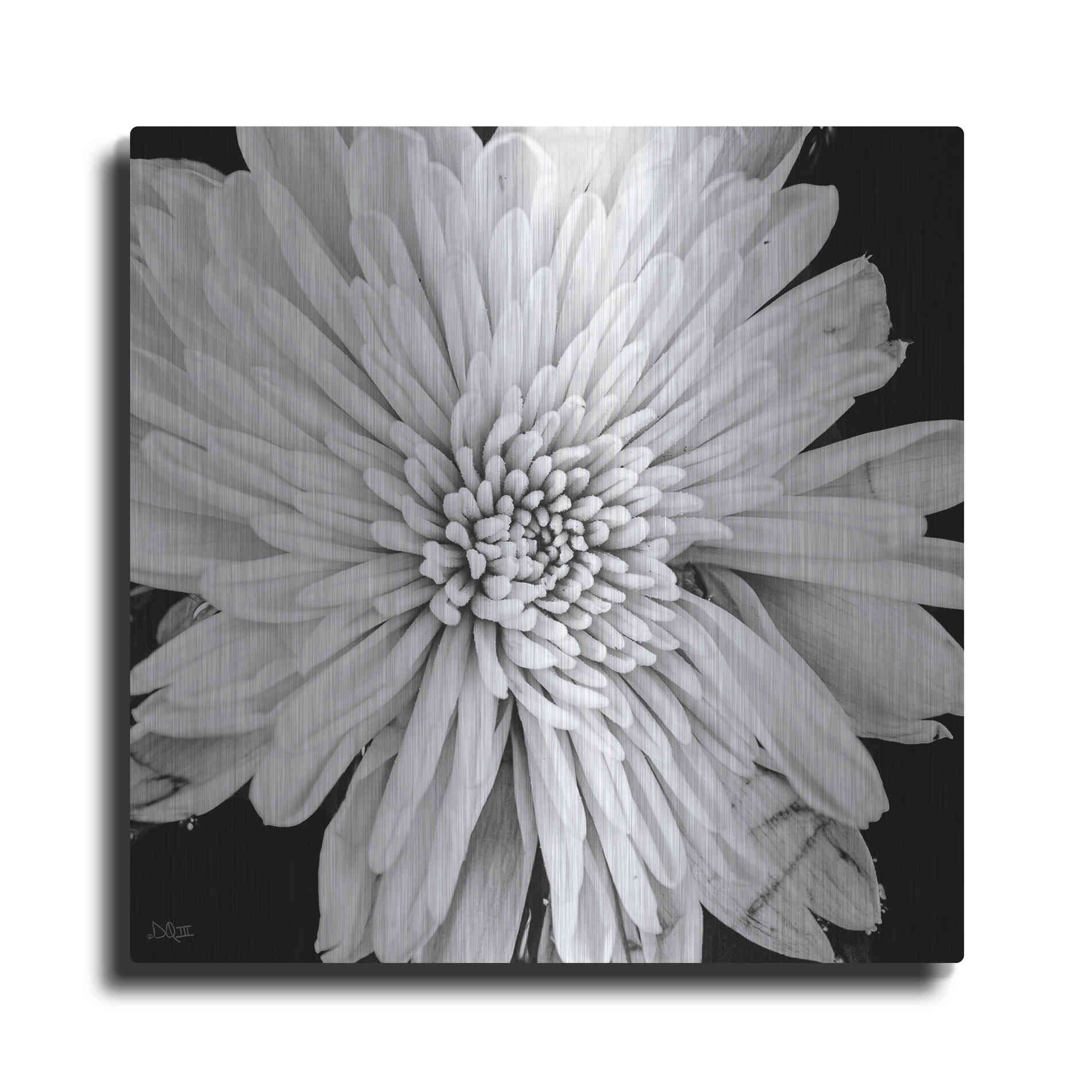 Luxe Metal Art 'Black and White Love II' by Donnie Quillen, Metal Wall Art