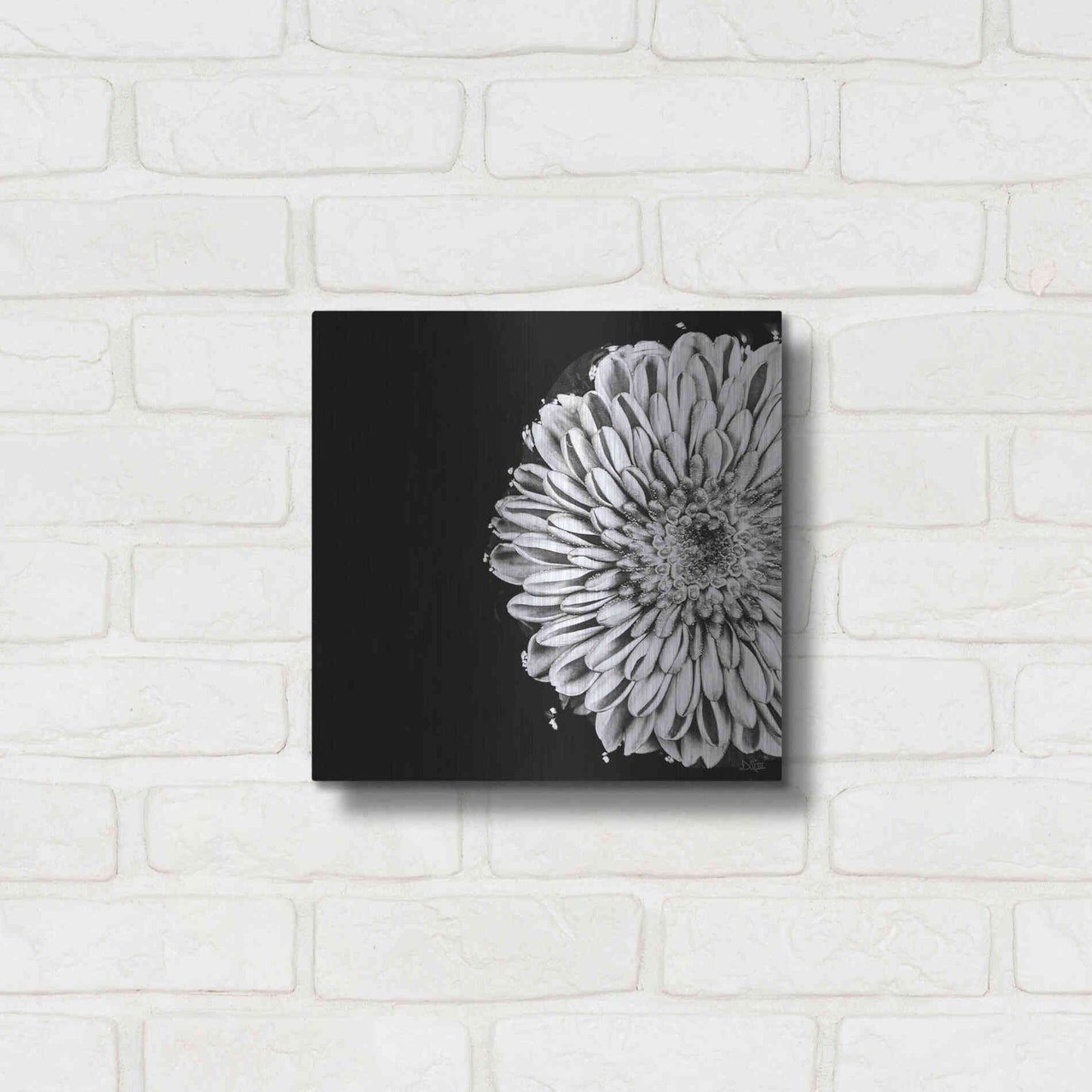 Luxe Metal Art 'Black and White Flower Love II' by Donnie Quillen, Metal Wall Art,12x12
