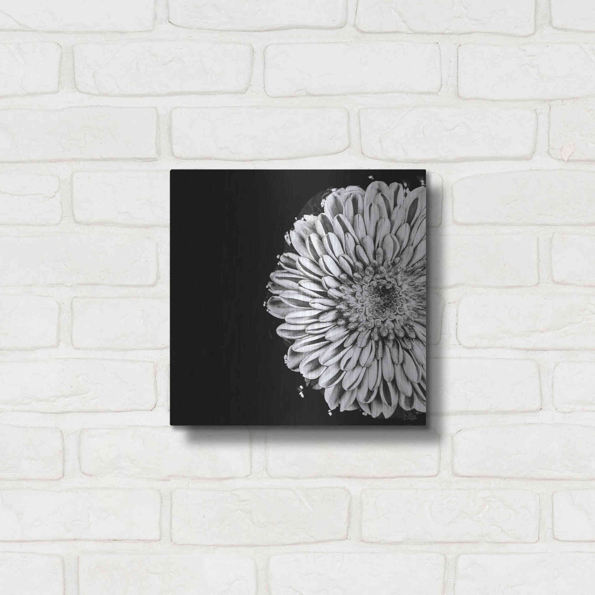 Luxe Metal Art 'Black and White Flower Love II' by Donnie Quillen, Metal Wall Art,12x12