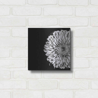 Luxe Metal Art 'Black and White Flower Love II' by Donnie Quillen, Metal Wall Art,12x12