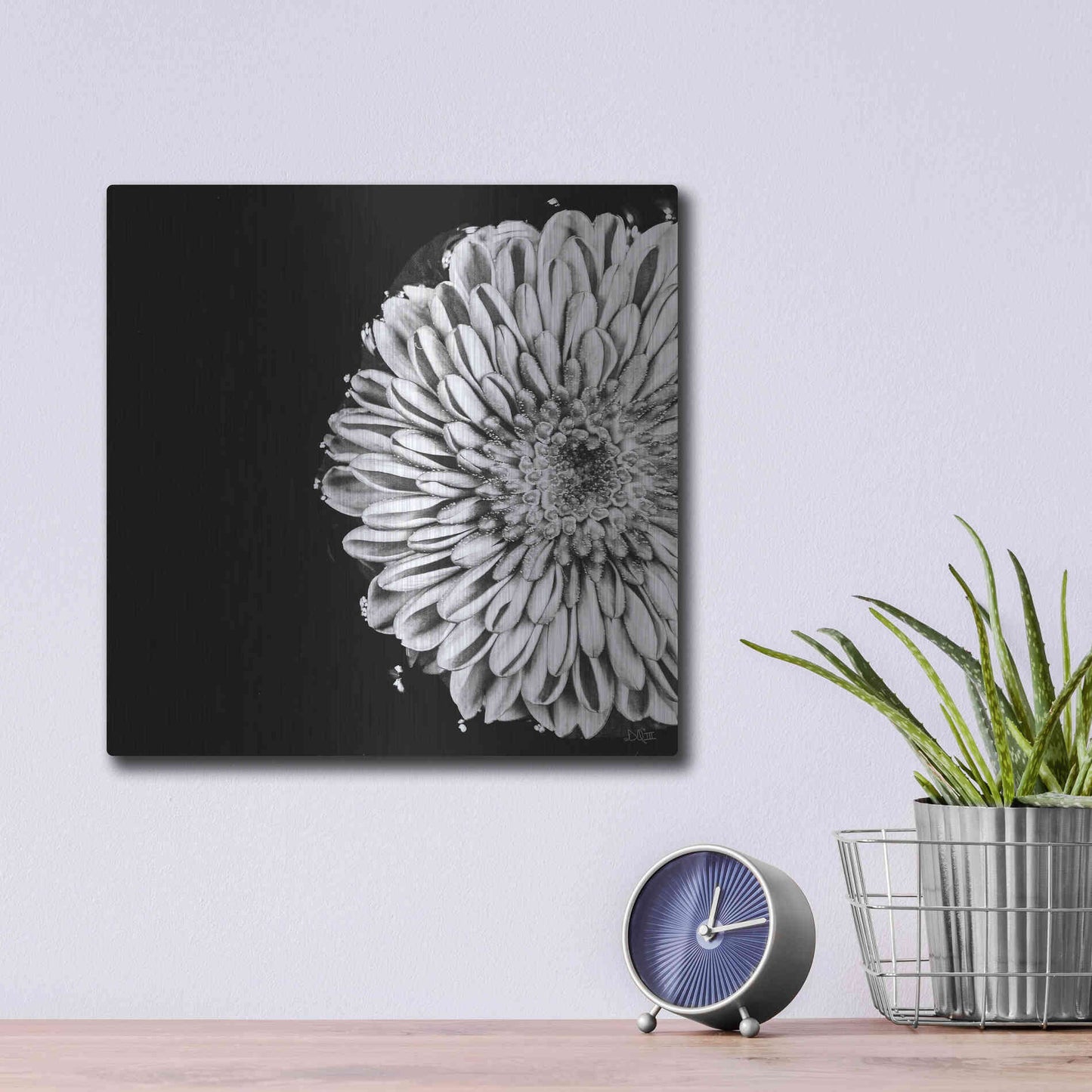 Luxe Metal Art 'Black and White Flower Love II' by Donnie Quillen, Metal Wall Art,12x12
