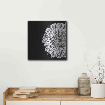 Luxe Metal Art 'Black and White Flower Love II' by Donnie Quillen, Metal Wall Art,12x12