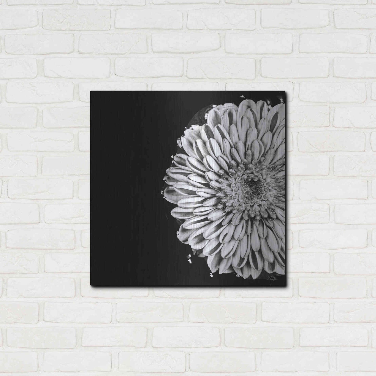 Luxe Metal Art 'Black and White Flower Love II' by Donnie Quillen, Metal Wall Art,24x24