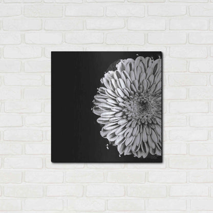Luxe Metal Art 'Black and White Flower Love II' by Donnie Quillen, Metal Wall Art,24x24