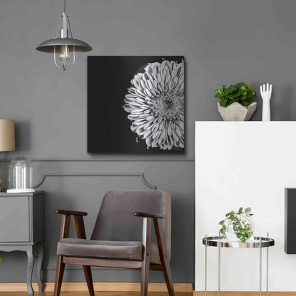 Luxe Metal Art 'Black and White Flower Love II' by Donnie Quillen, Metal Wall Art,24x24