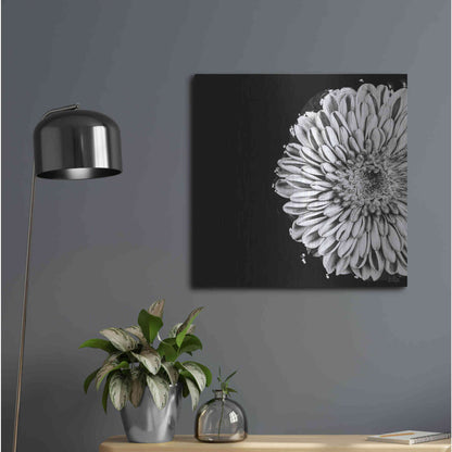 Luxe Metal Art 'Black and White Flower Love II' by Donnie Quillen, Metal Wall Art,24x24