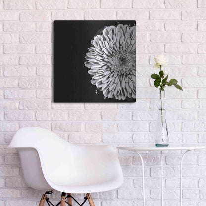 Luxe Metal Art 'Black and White Flower Love II' by Donnie Quillen, Metal Wall Art,24x24