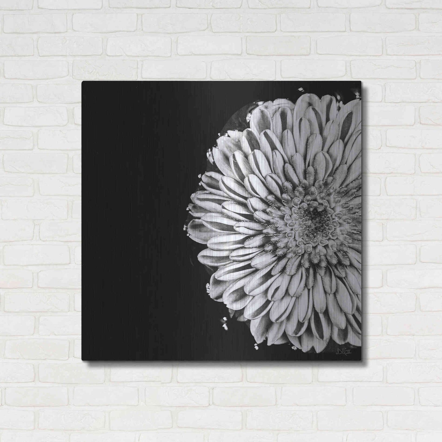 Luxe Metal Art 'Black and White Flower Love II' by Donnie Quillen, Metal Wall Art,36x36