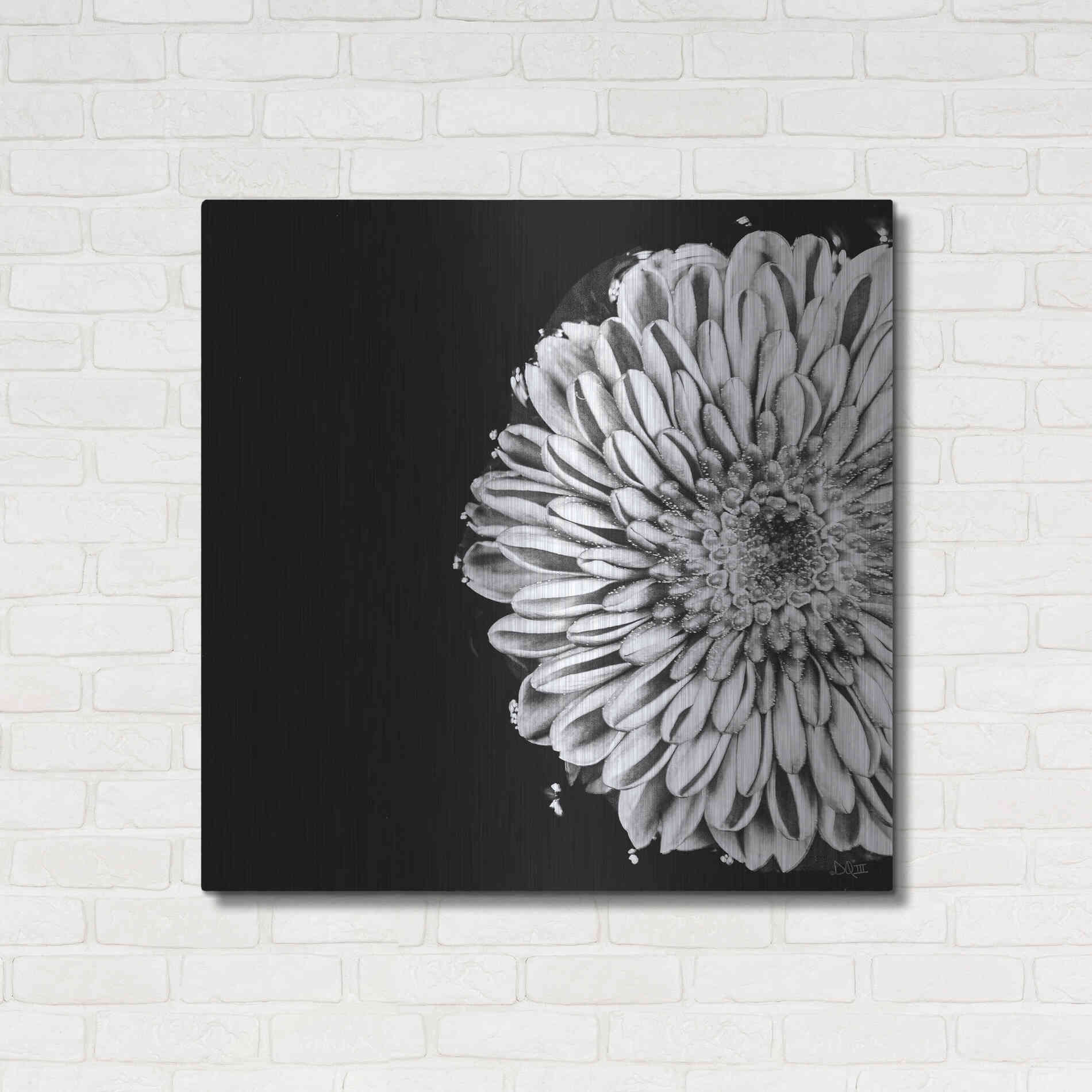 Luxe Metal Art 'Black and White Flower Love II' by Donnie Quillen, Metal Wall Art,36x36