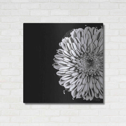 Luxe Metal Art 'Black and White Flower Love II' by Donnie Quillen, Metal Wall Art,36x36