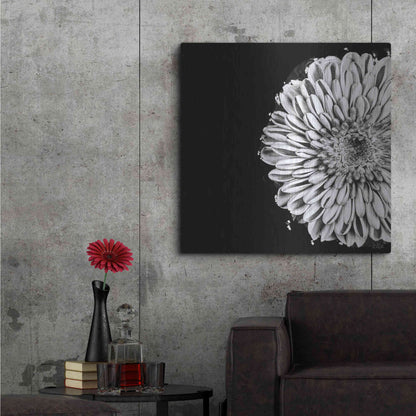 Luxe Metal Art 'Black and White Flower Love II' by Donnie Quillen, Metal Wall Art,36x36