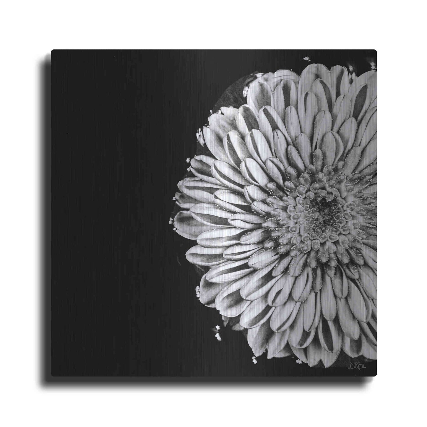 Luxe Metal Art 'Black and White Flower Love II' by Donnie Quillen, Metal Wall Art