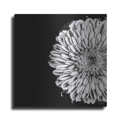 Luxe Metal Art 'Black and White Flower Love II' by Donnie Quillen, Metal Wall Art