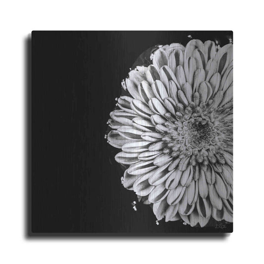 Luxe Metal Art 'Black and White Flower Love II' by Donnie Quillen, Metal Wall Art