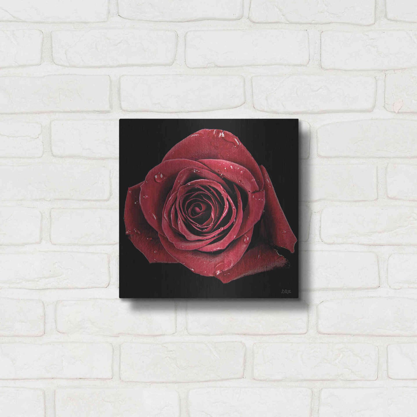 Luxe Metal Art 'Broken Heart Rose' by Donnie Quillen, Metal Wall Art,12x12