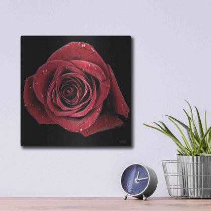 Luxe Metal Art 'Broken Heart Rose' by Donnie Quillen, Metal Wall Art,12x12