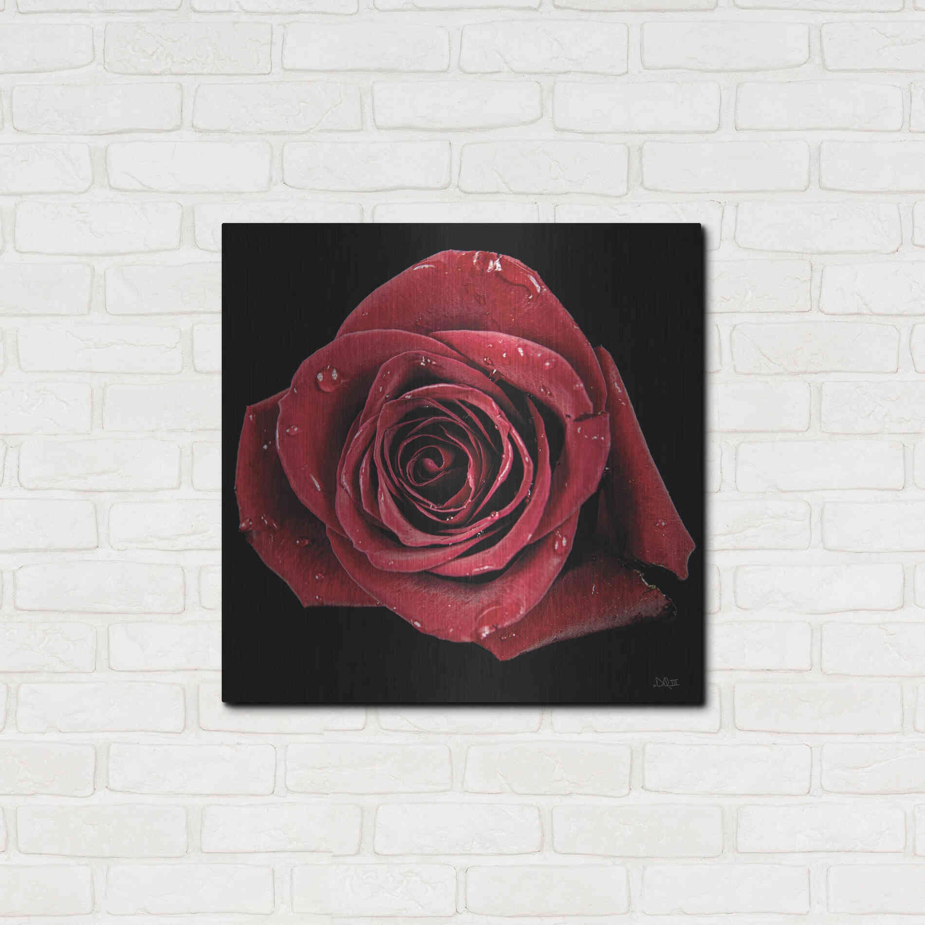 Luxe Metal Art 'Broken Heart Rose' by Donnie Quillen, Metal Wall Art,24x24