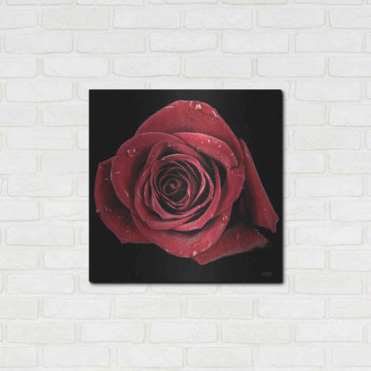 Luxe Metal Art 'Broken Heart Rose' by Donnie Quillen, Metal Wall Art,24x24