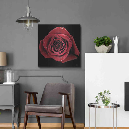 Luxe Metal Art 'Broken Heart Rose' by Donnie Quillen, Metal Wall Art,24x24