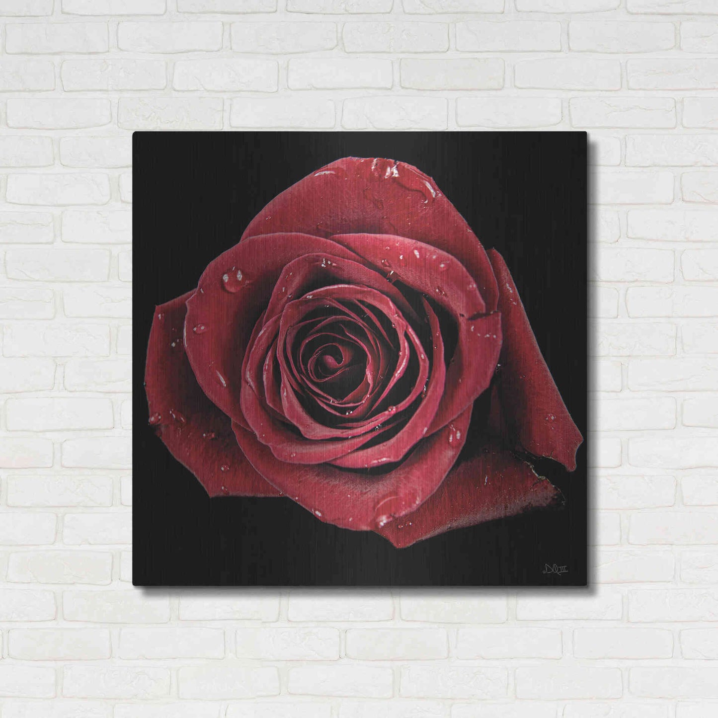 Luxe Metal Art 'Broken Heart Rose' by Donnie Quillen, Metal Wall Art,36x36