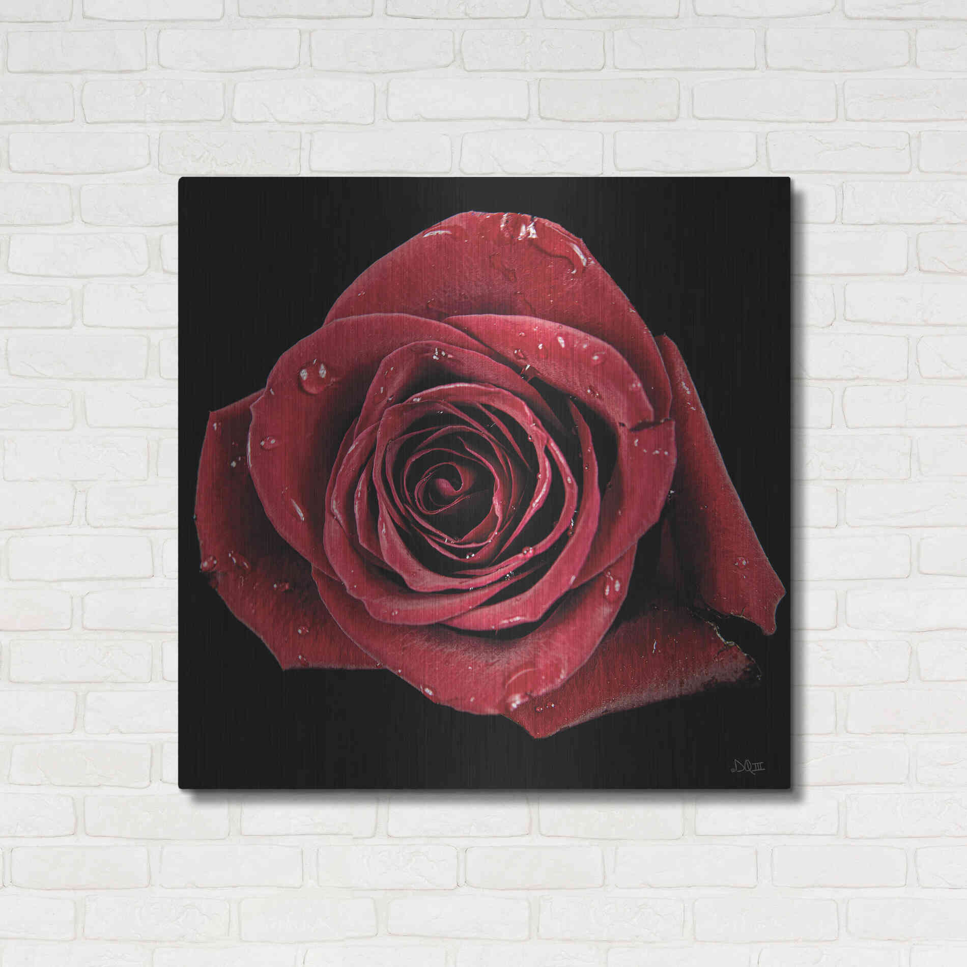 Luxe Metal Art 'Broken Heart Rose' by Donnie Quillen, Metal Wall Art,36x36