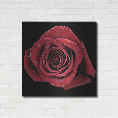 Luxe Metal Art 'Broken Heart Rose' by Donnie Quillen, Metal Wall Art,36x36